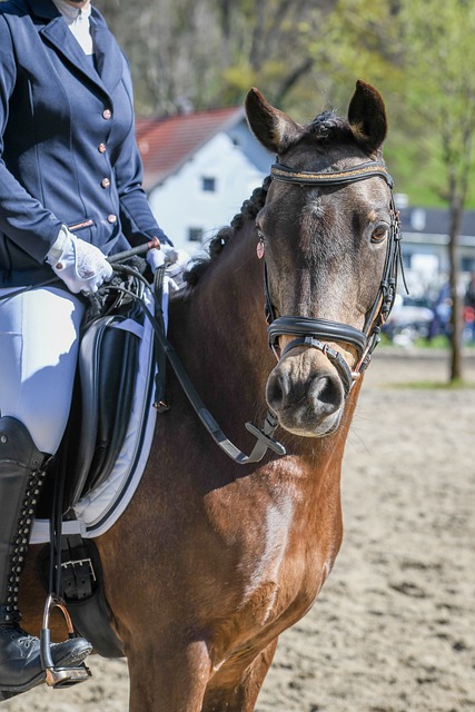 互帮互助的 互帮互助的