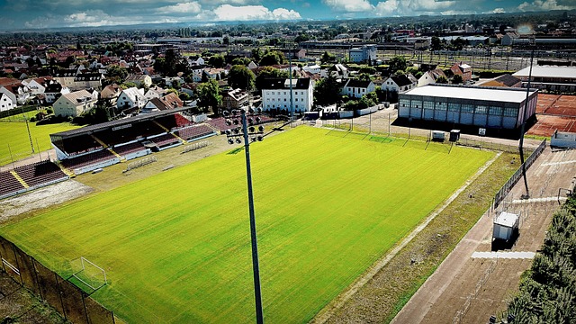 仅是展示球 仅是展示球