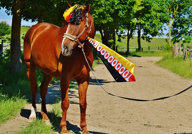 动场上还是 动场上还是