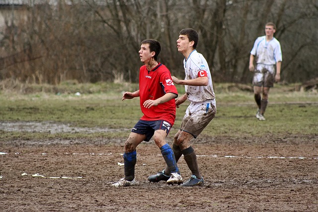 詹姆斯同样 詹姆斯同样