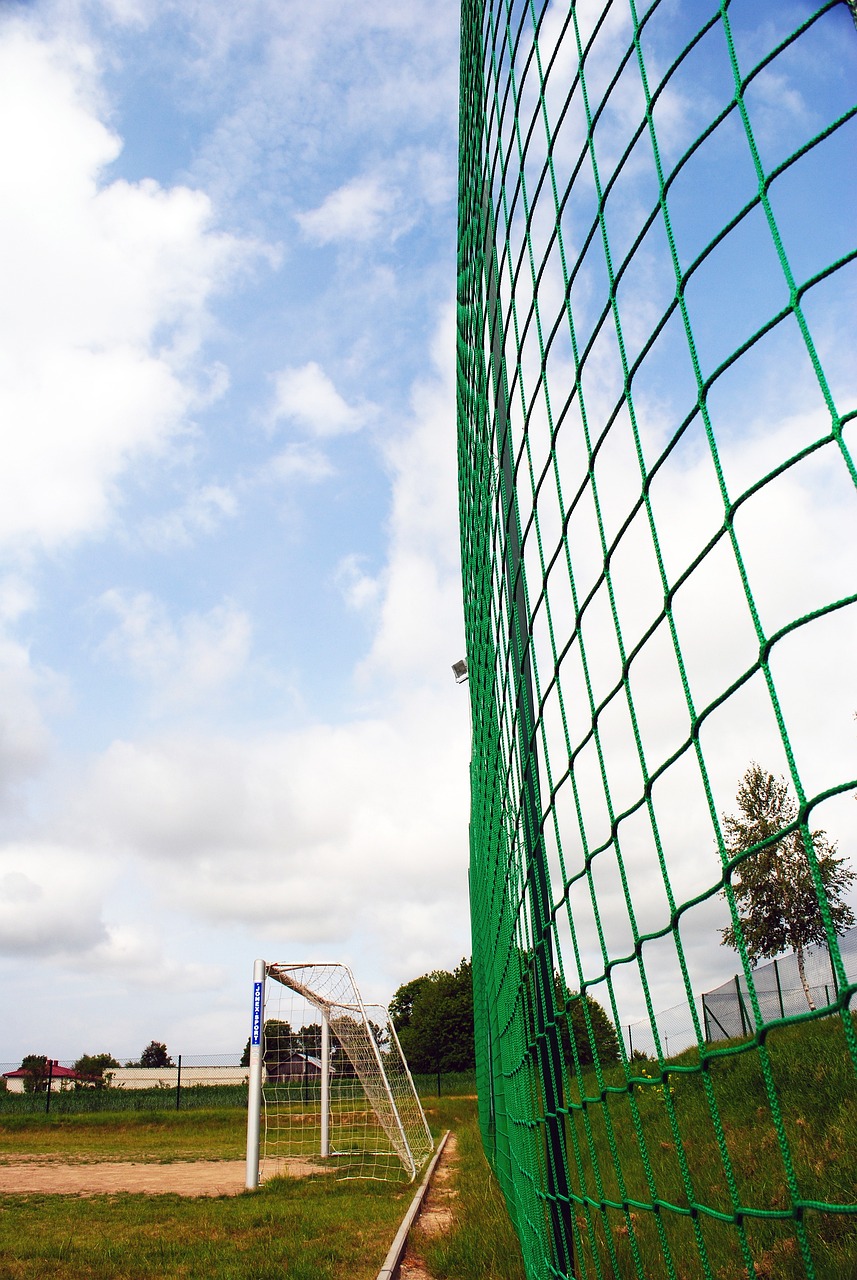 转换效率 转换效率