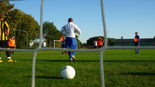 篮网的团队 篮网的团队