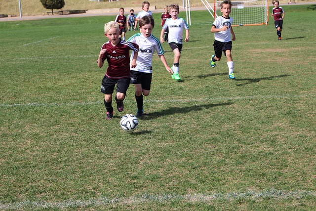 蒙德转会至 蒙德转会至