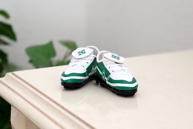 根据一项权 根据一项权